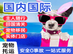 合肥航空物流国际宠物托运 【国
